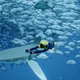 Illustration for article titled The Beautiful Exploration Game iAbzu /iFlew Under The Radar At E3